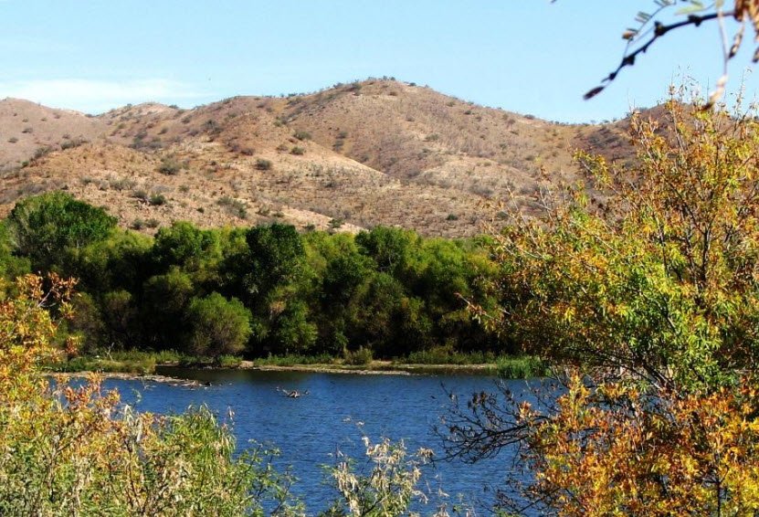 Sonoita Creek State Natural Area, Arizona, USA
